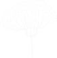 12_edited.png